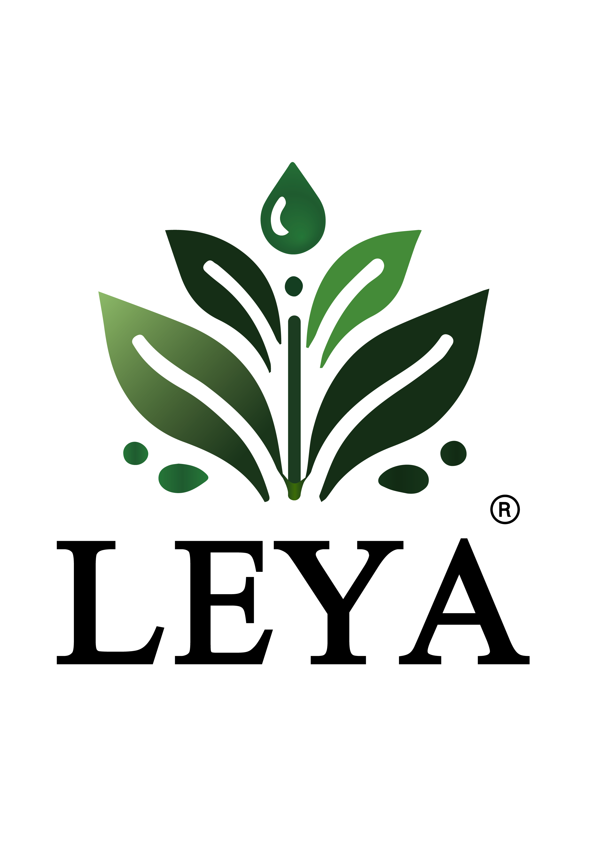LEYA Logo